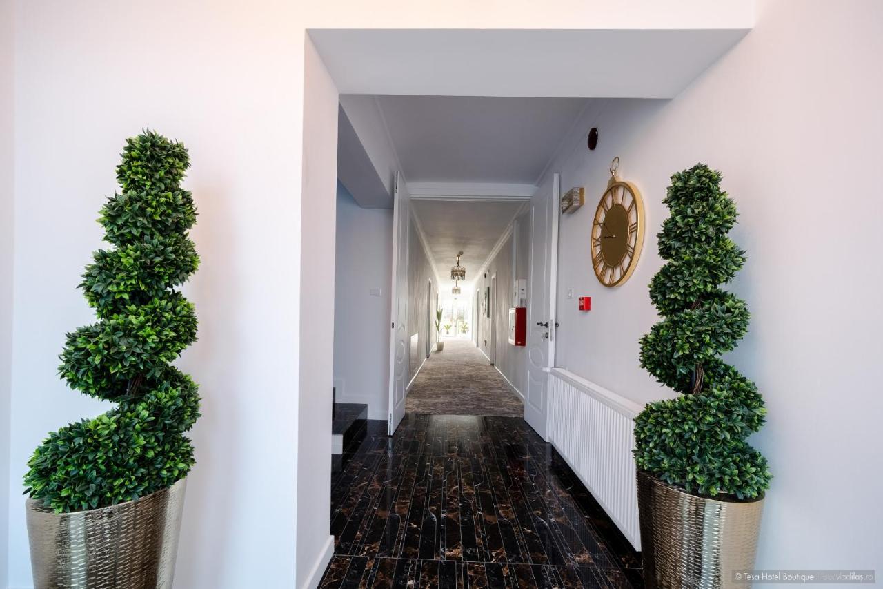 Tesa Boutique Hotel トゥルグ・ネアムツ エクステリア 写真