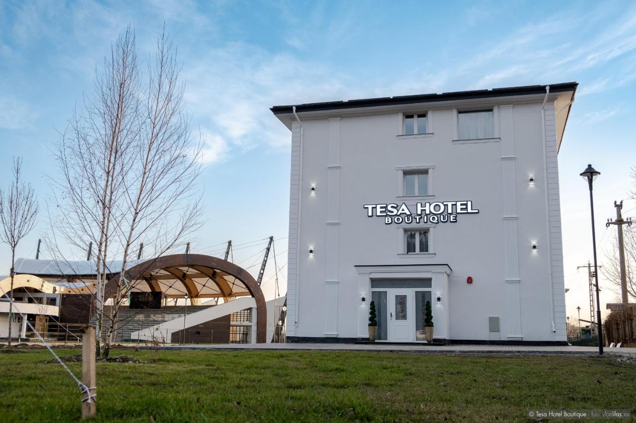 Tesa Boutique Hotel トゥルグ・ネアムツ エクステリア 写真